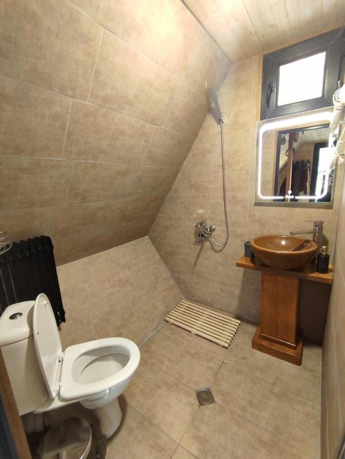 Alone Villa Stepantsminda